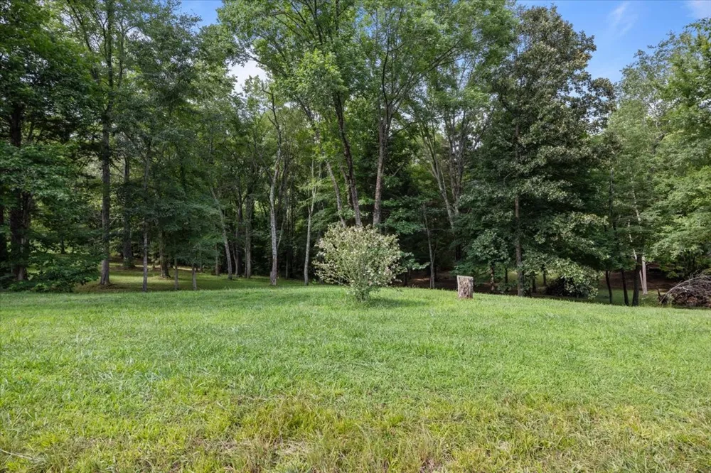 10328 Highway 147 Stewart, TN 37175