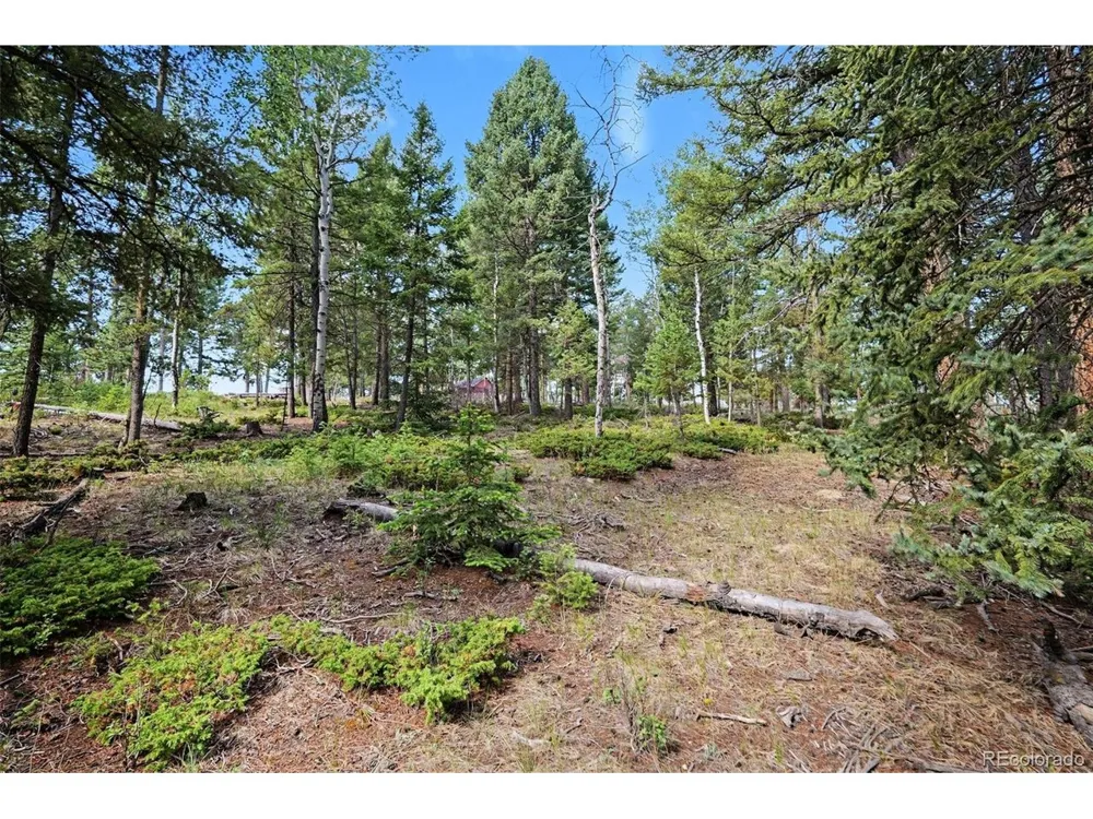 27887 Richmond Hill Road Conifer, CO 80433