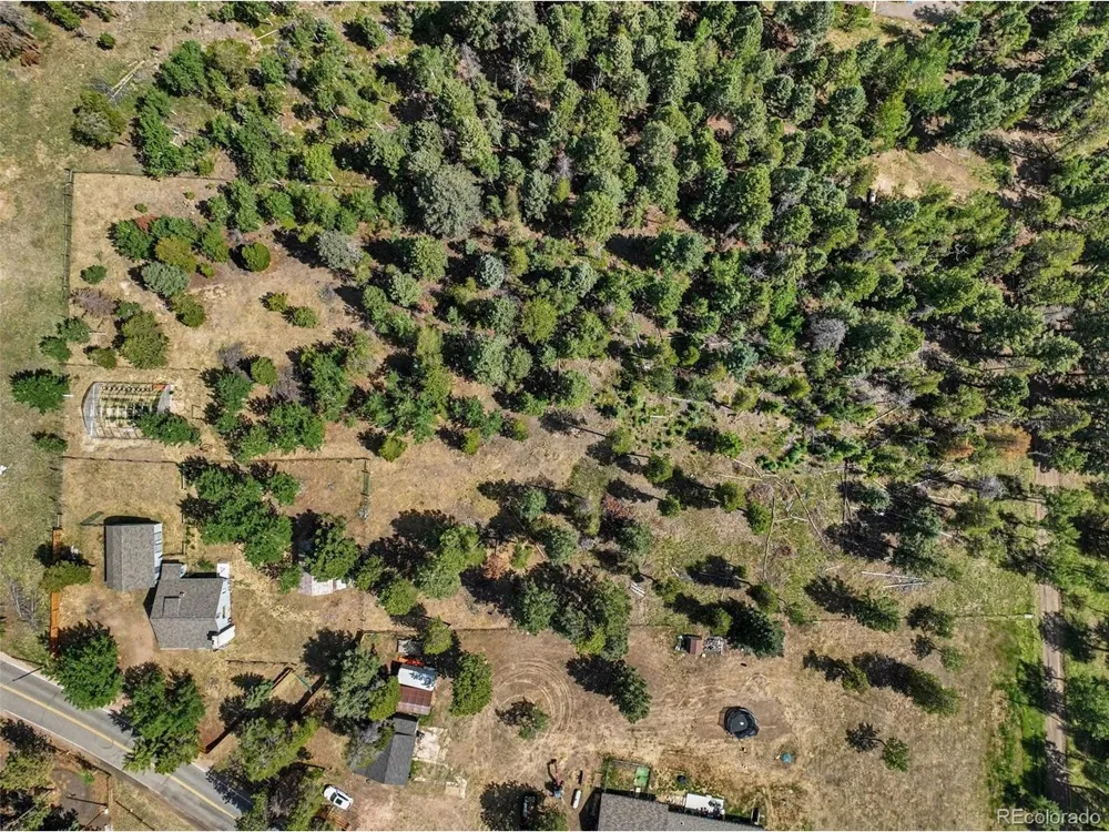 27887 Richmond Hill Road Conifer, CO 80433