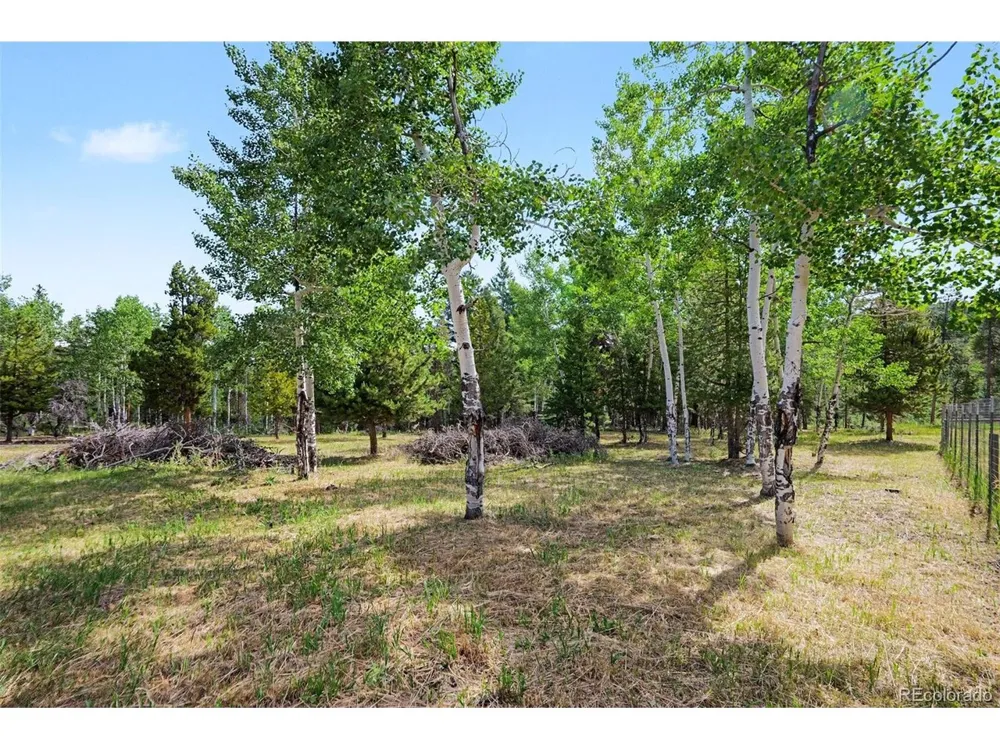 27887 Richmond Hill Road Conifer, CO 80433