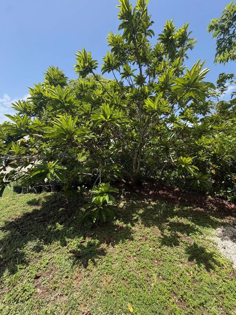 20791 SW 240th St Homestead, FL 33031