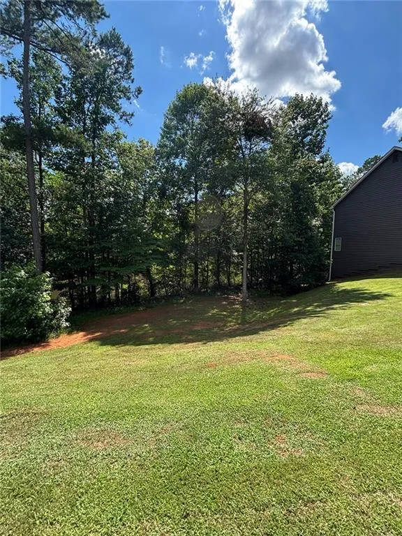 389 White Trillium Drive Hoschton, GA 30548