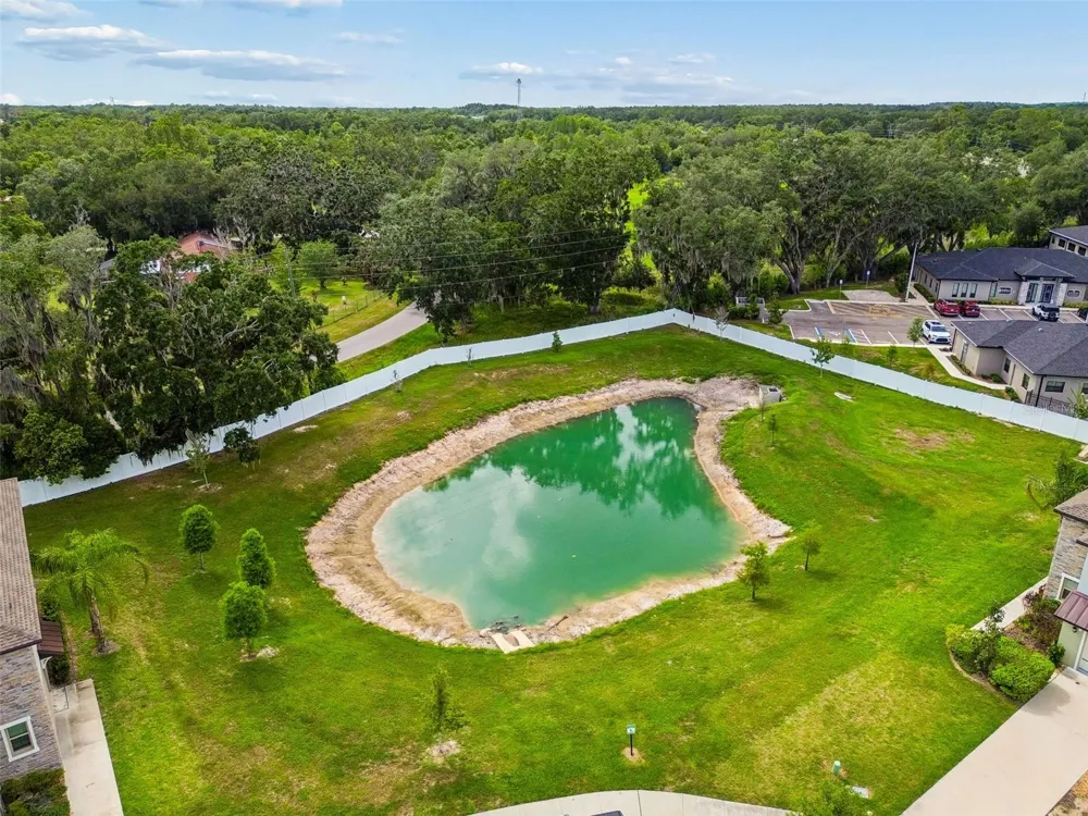 30751 VERIDIAN WAY Wesley Chapel, FL 33543