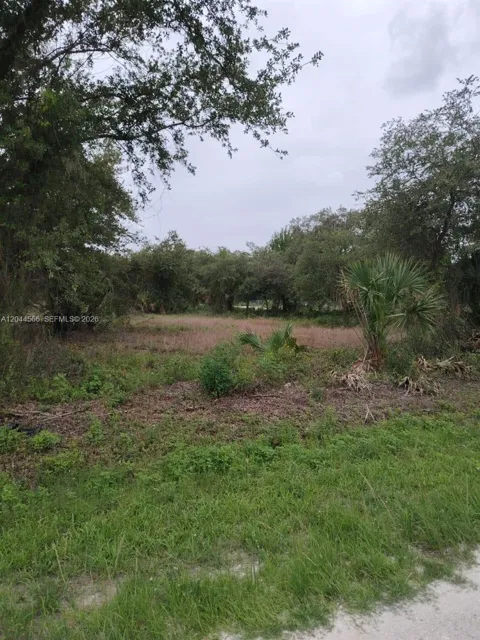 175 Avenida del Club