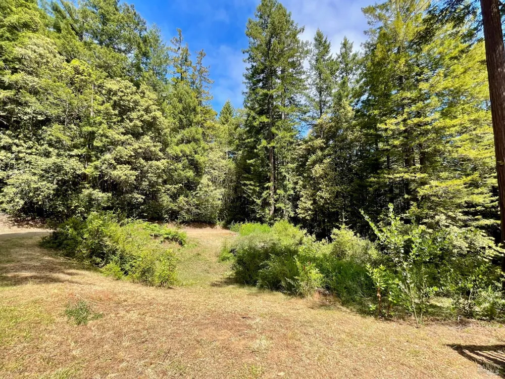 29905 Ten Mile Cut Off Road Gualala, CA 95445