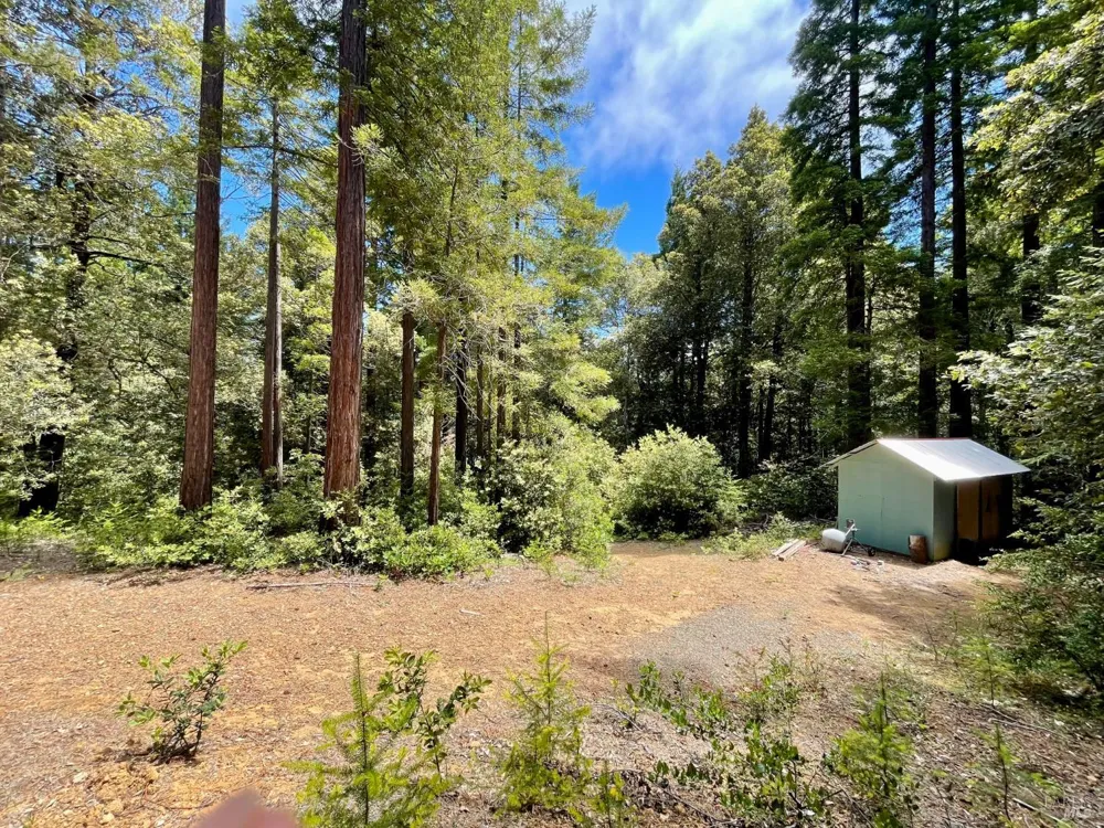 29905 Ten Mile Cut Off Road Gualala, CA 95445