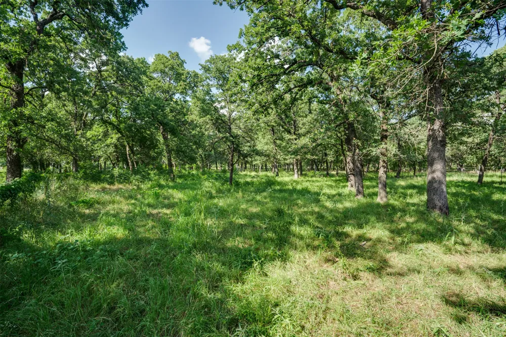 957 CR 1886 Sunset, TX 76270