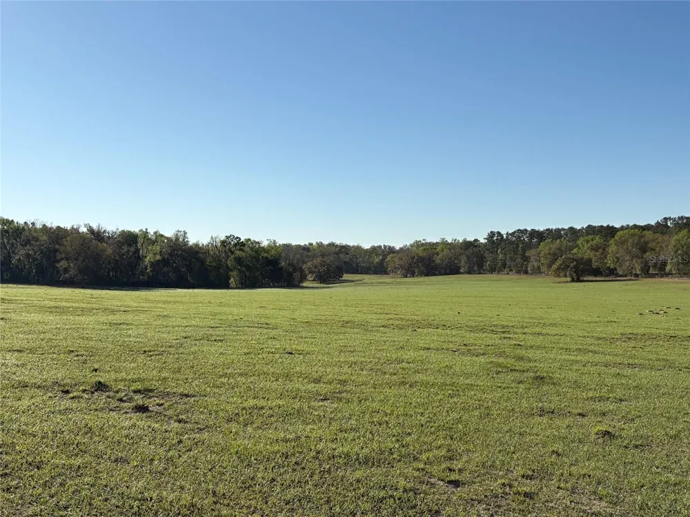 0 Citrus WAY (NE CORNER OF CITRUS WAY AND PARSONS RD) Brooksville, FL 34601