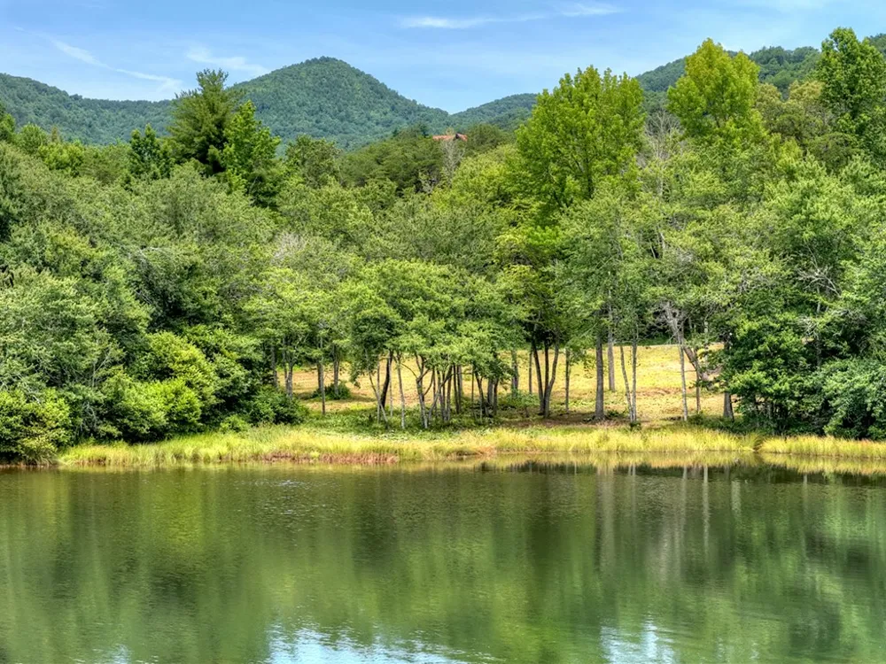 00 Campbell Cove Road Turtletown, TN 37391
