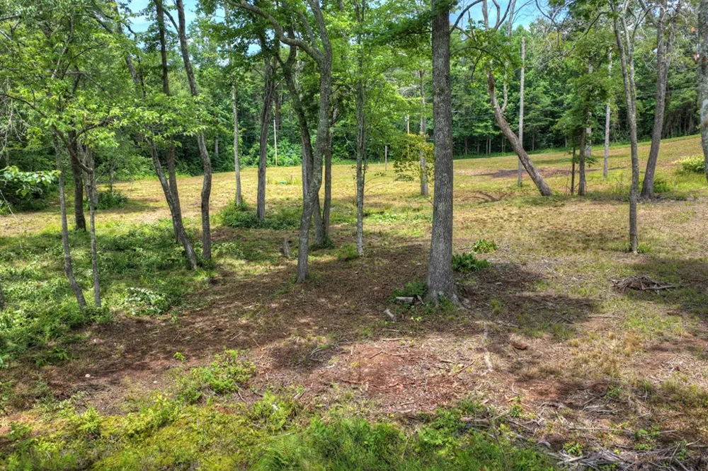 00 Campbell Cove Road Turtletown, TN 37391