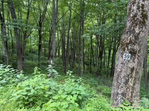 Lot 59 Odalu Trail #59
