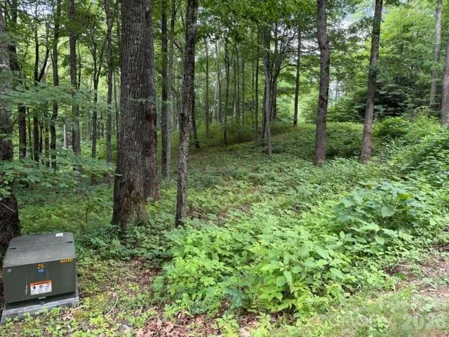 Lot 59 Odalu Trail #59 Maggie Valley, NC 28751