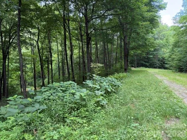 Lot 59 Odalu Trail #59 Maggie Valley, NC 28751