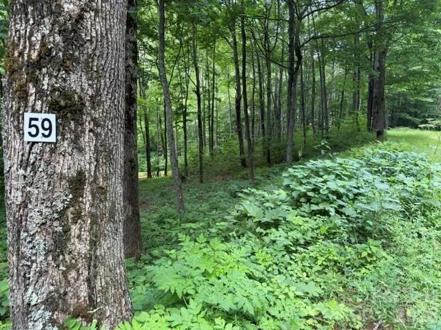 Lot 59 Odalu Trail #59 Maggie Valley, NC 28751