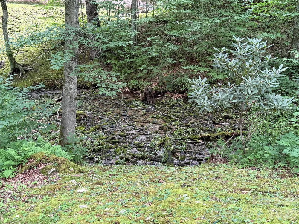 Lot 59 Odalu Trail #59 Maggie Valley, NC 28751