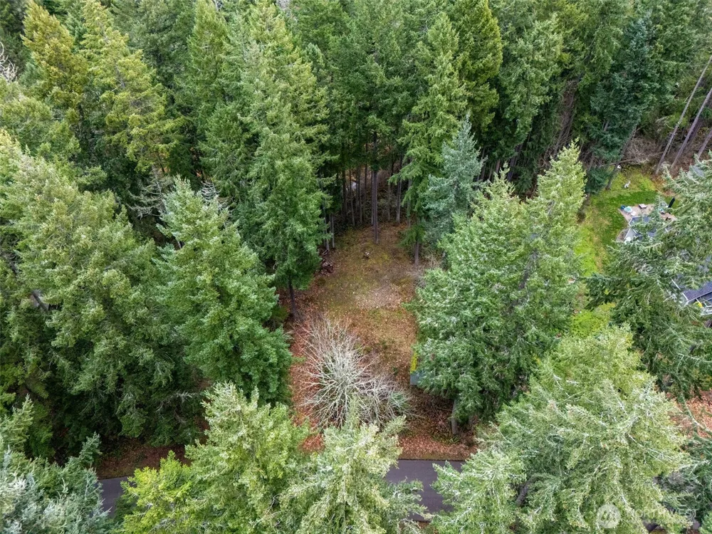 18214 Big Fir Court SE Yelm, WA 98597