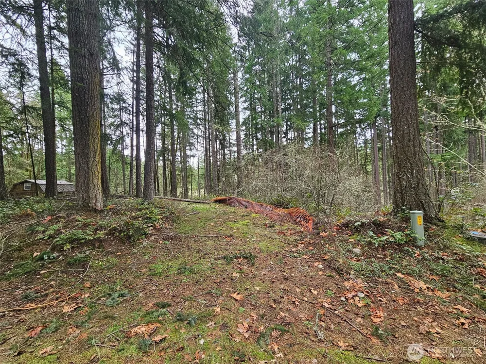 18214 Big Fir Court SE Yelm, WA 98597