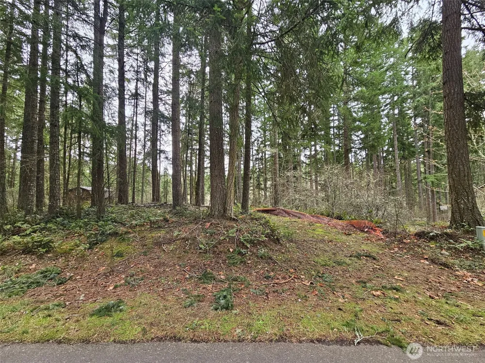 18214 Big Fir Court SE Yelm, WA 98597