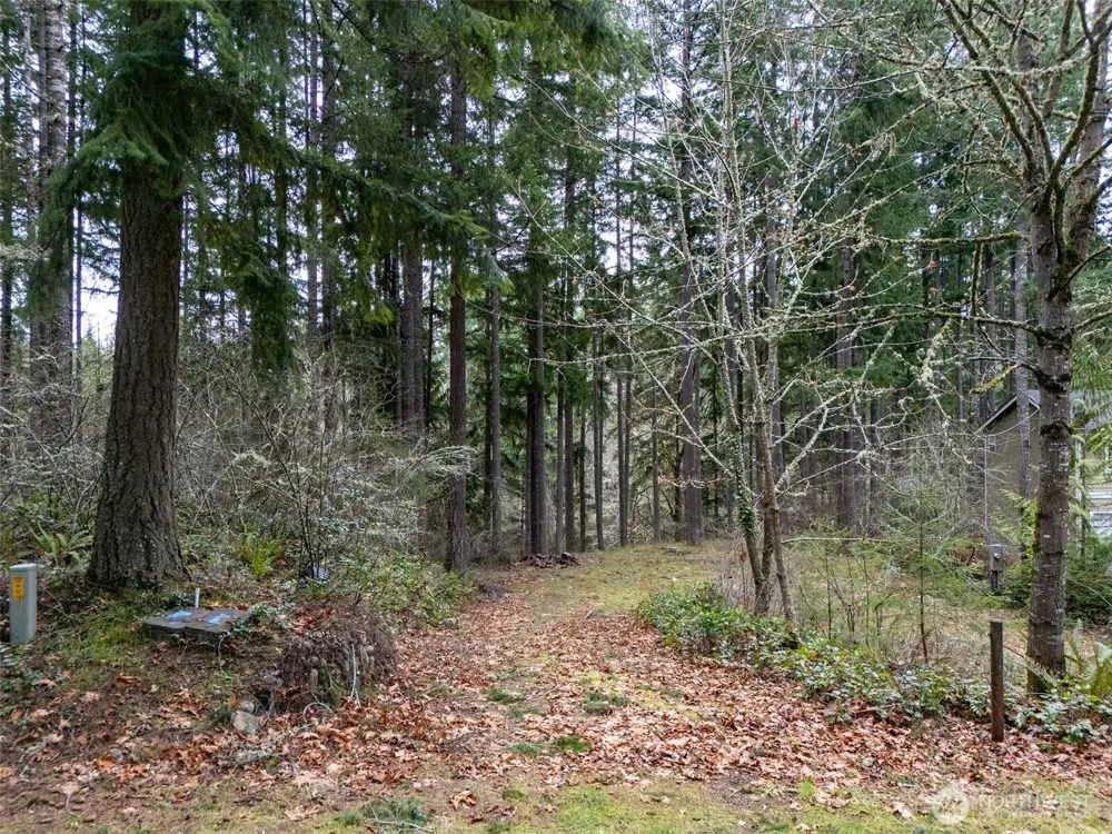18214 Big Fir Court SE Yelm, WA 98597