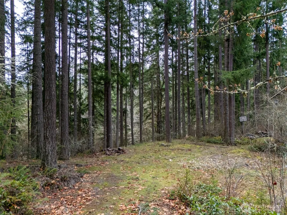 18214 Big Fir Court SE Yelm, WA 98597