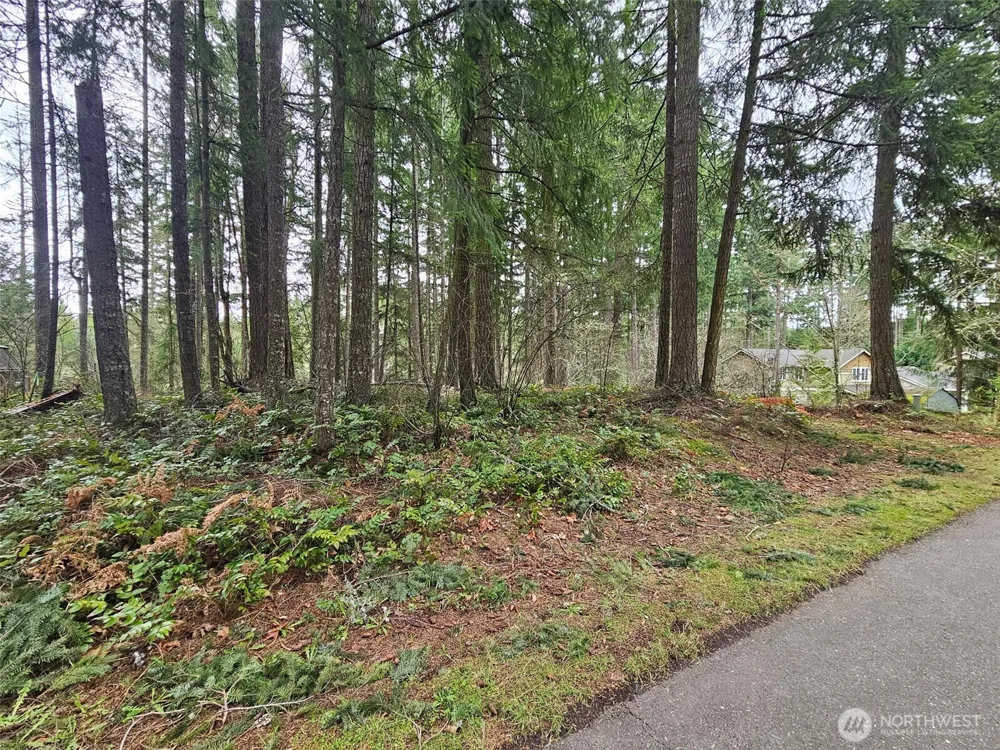 18214 Big Fir Court SE Yelm, WA 98597