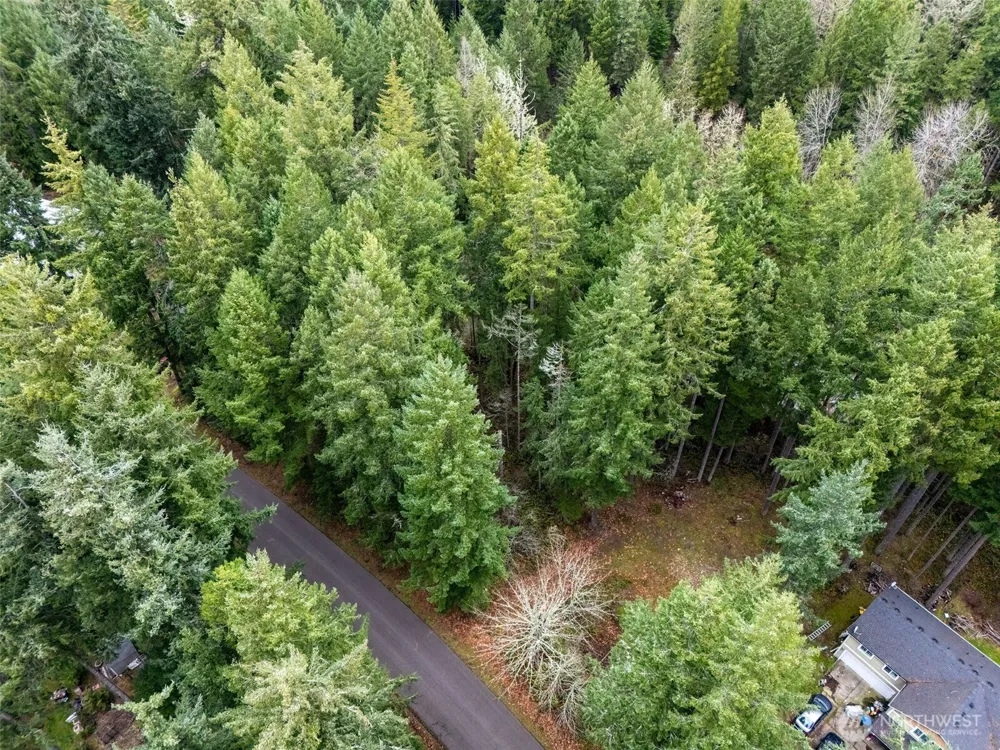 18214 Big Fir Court SE Yelm, WA 98597