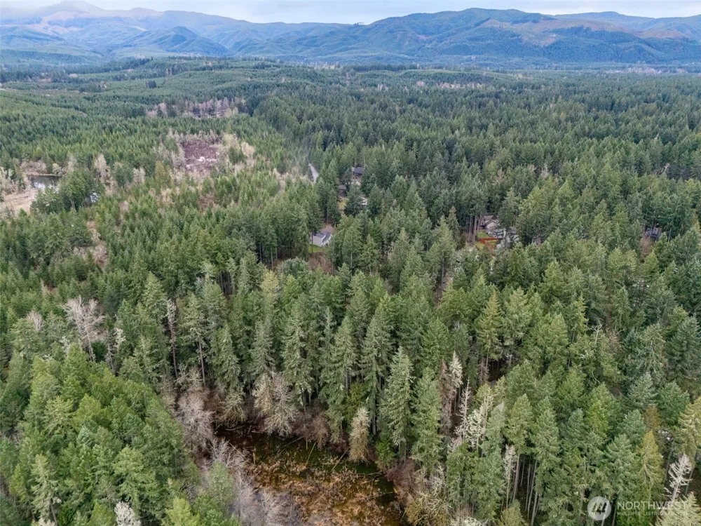 18214 Big Fir Court SE Yelm, WA 98597