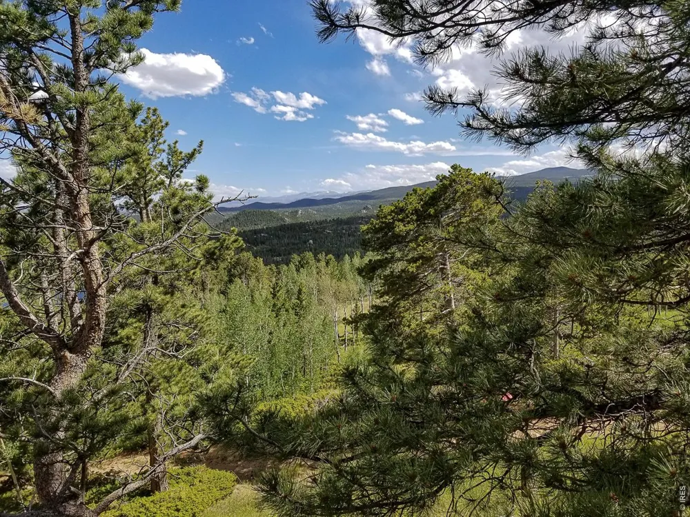 1346 Osage Trail Red Feather Lakes, CO 80545
