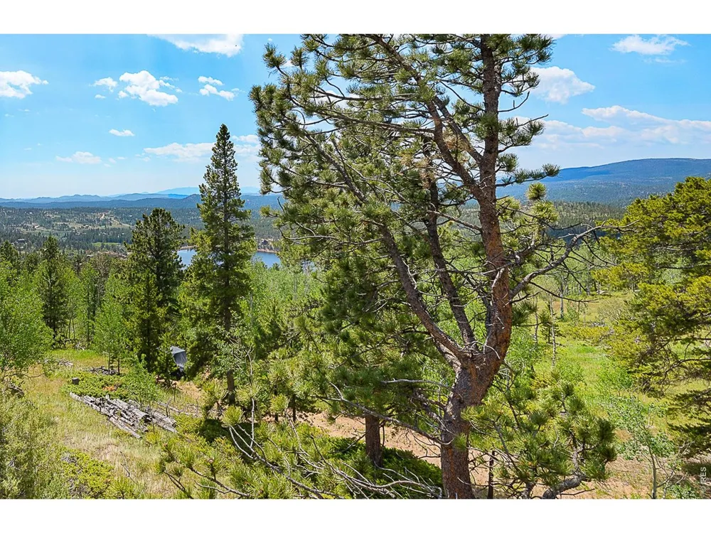 1346 Osage Trail Red Feather Lakes, CO 80545
