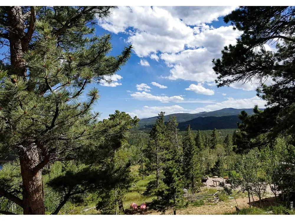 1346 Osage Trail Red Feather Lakes, CO 80545
