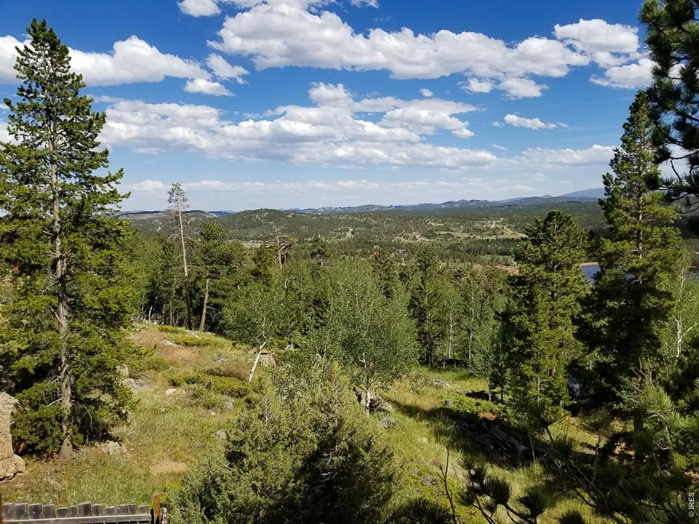 1346 Osage Trail Red Feather Lakes, CO 80545
