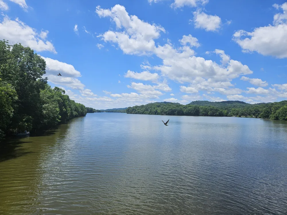 275 Lakeside Dr Carthage, TN 37030
