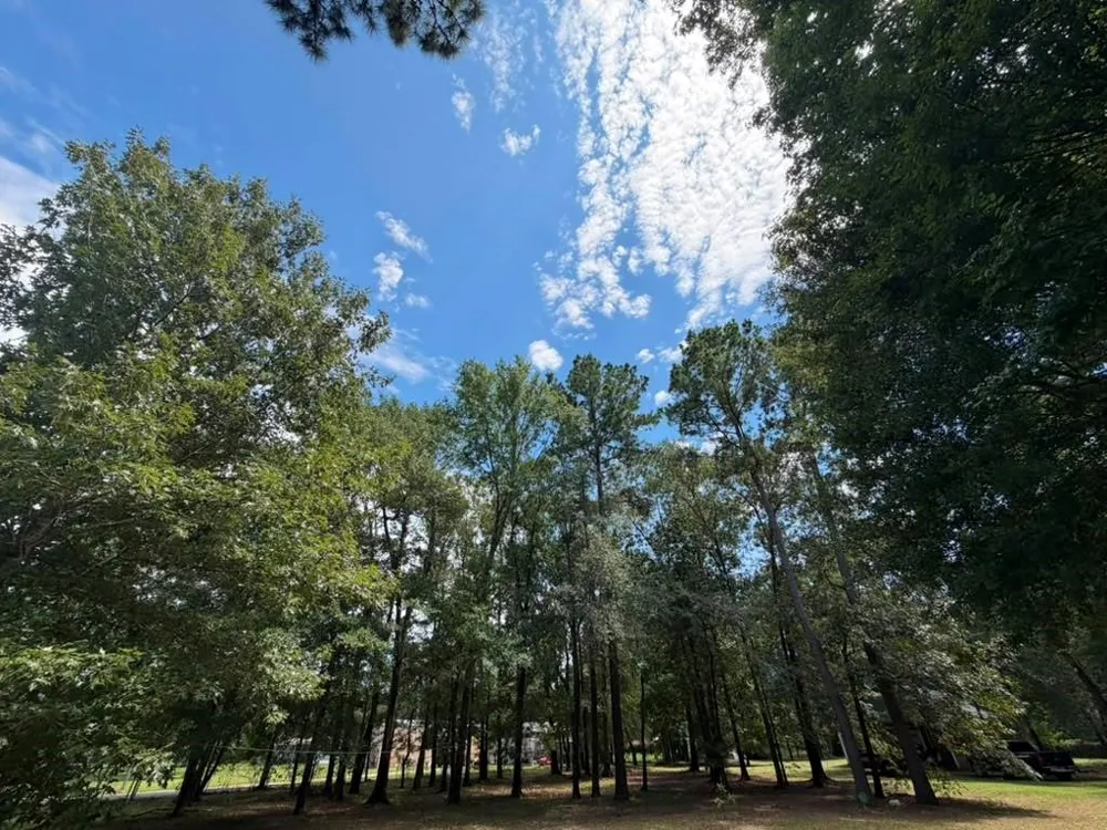 9806 State Highway 156 Coldspring, TX 77331