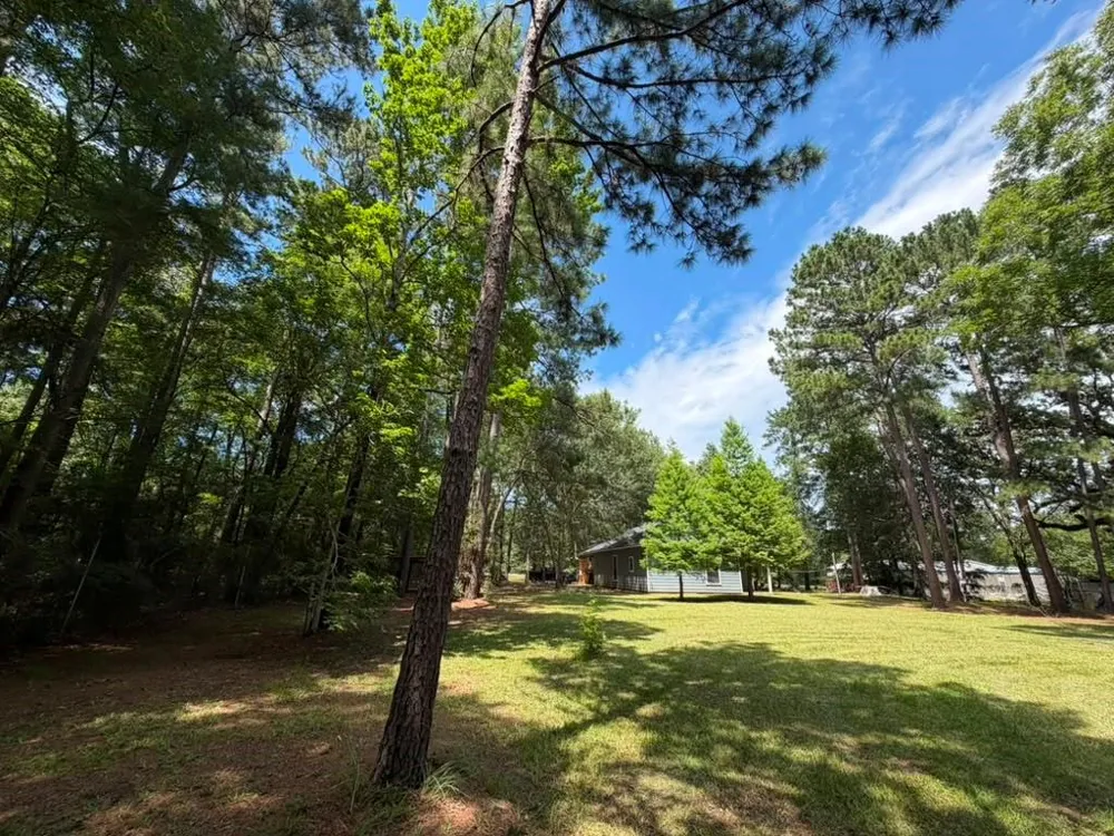 9806 State Highway 156 Coldspring, TX 77331