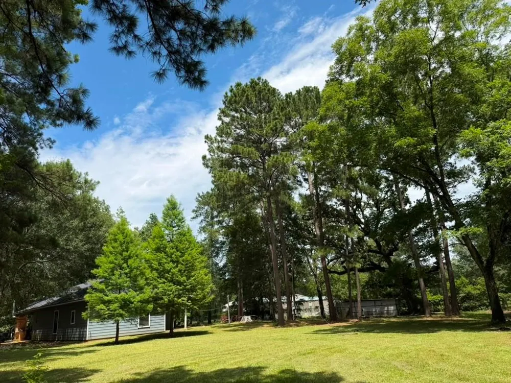 9806 State Highway 156 Coldspring, TX 77331