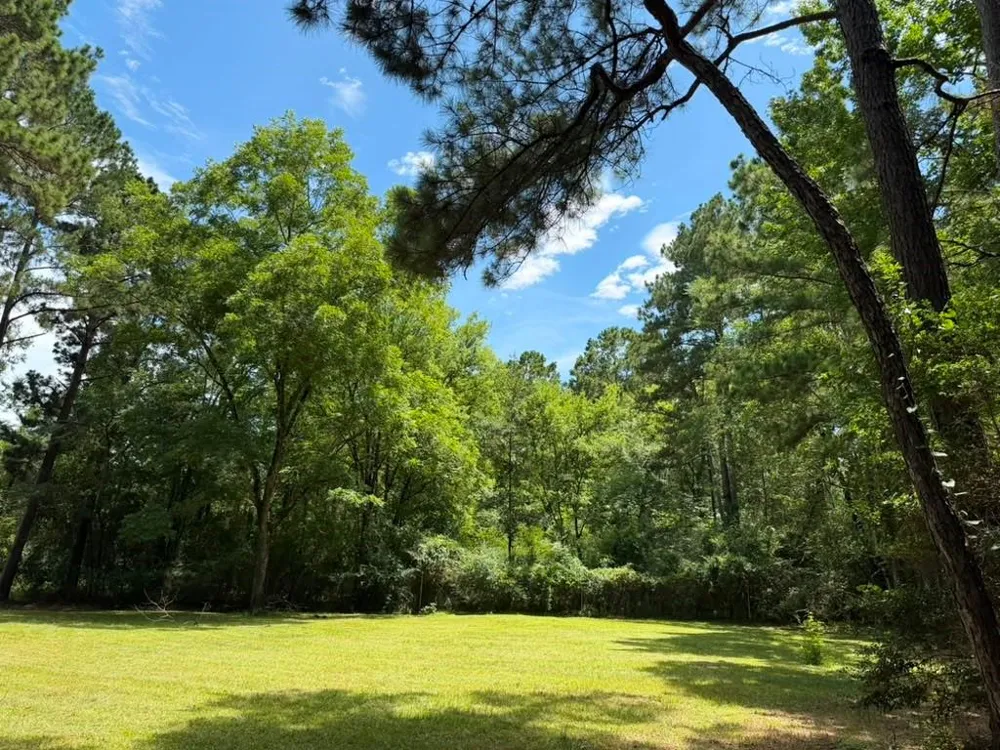 9806 State Highway 156 Coldspring, TX 77331