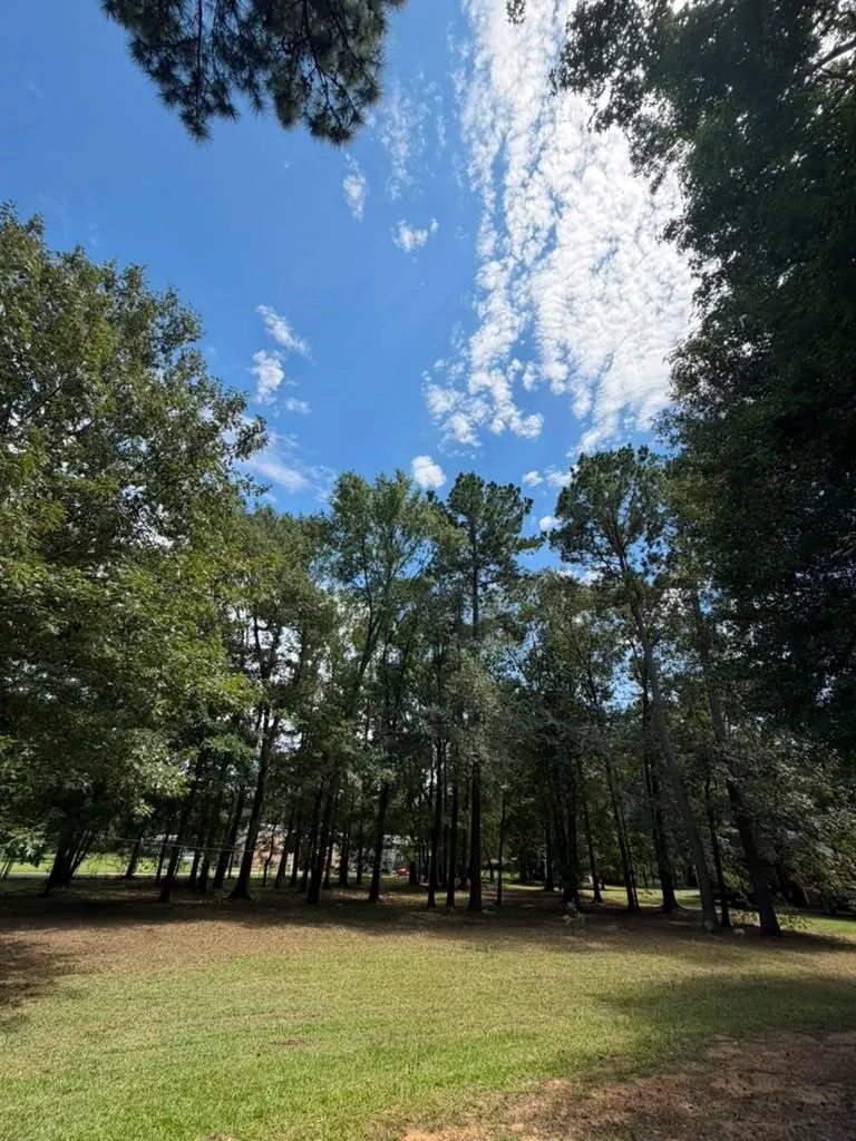 9806 State Highway 156 Coldspring, TX 77331