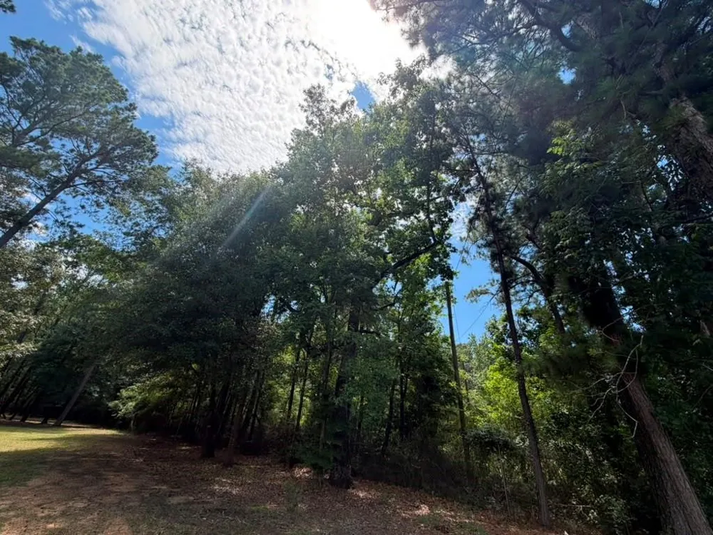 9806 State Highway 156 Coldspring, TX 77331