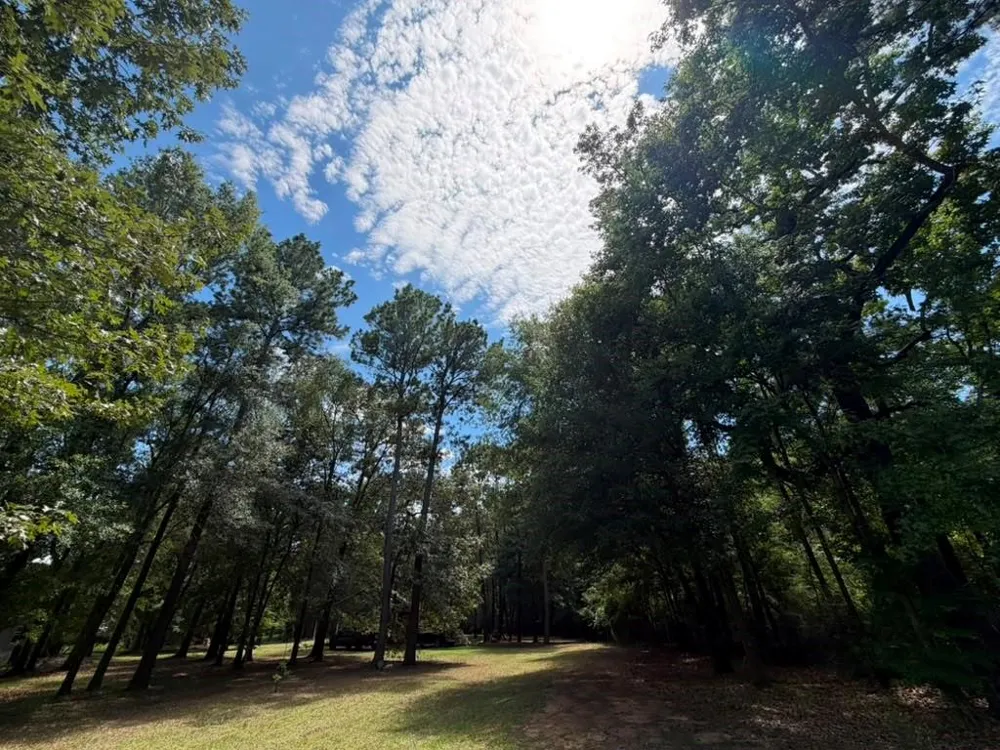 9806 State Highway 156 Coldspring, TX 77331