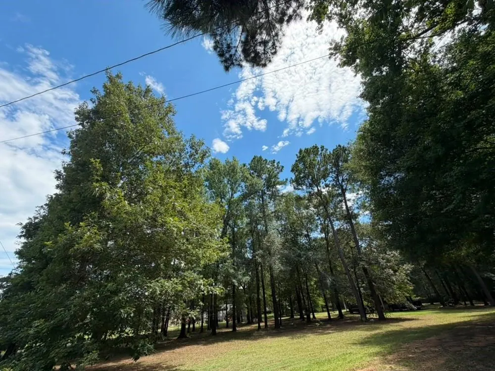 9806 State Highway 156 Coldspring, TX 77331