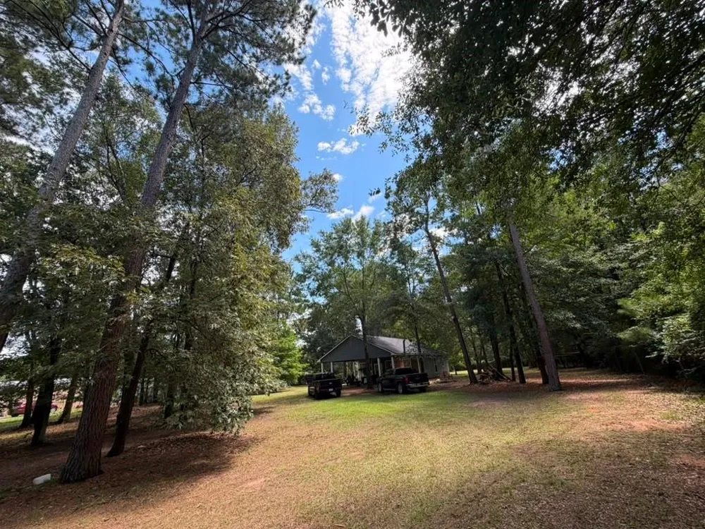 9806 State Highway 156 Coldspring, TX 77331