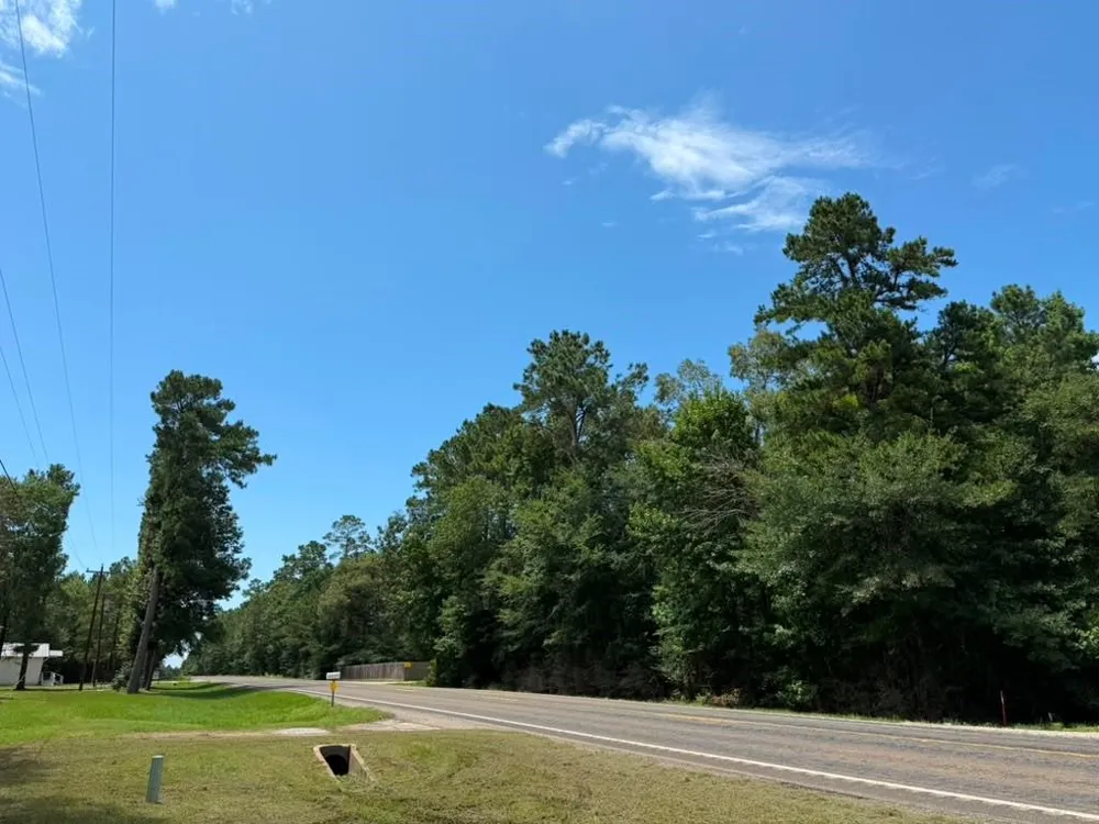 9806 State Highway 156 Coldspring, TX 77331