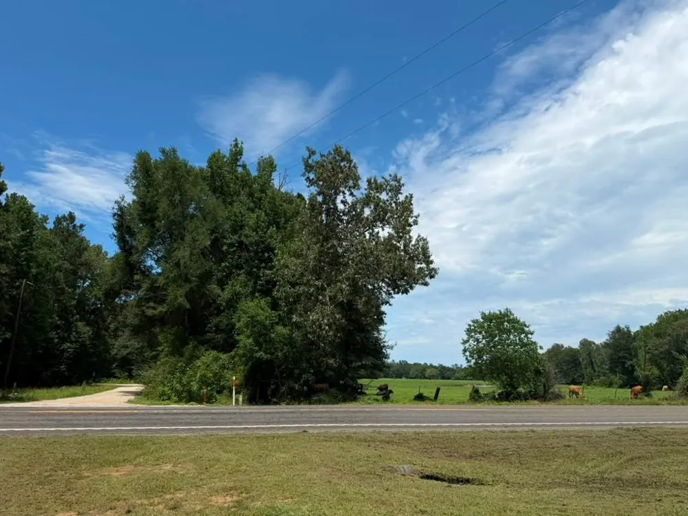 9806 State Highway 156 Coldspring, TX 77331
