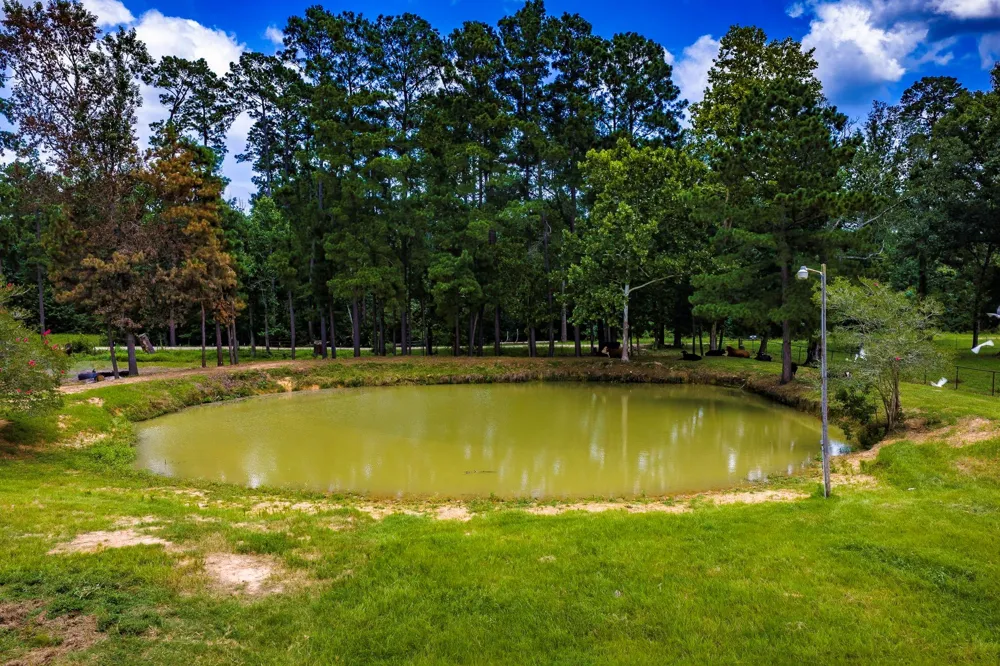 838 State Highway 150 New Waverly, TX 77358