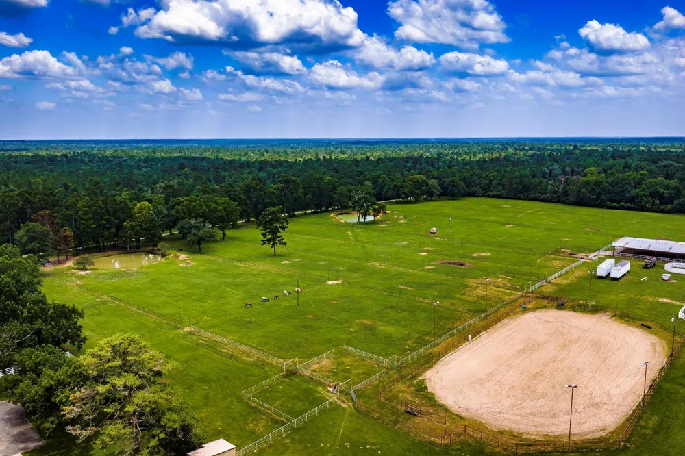 838 State Highway 150 New Waverly, TX 77358