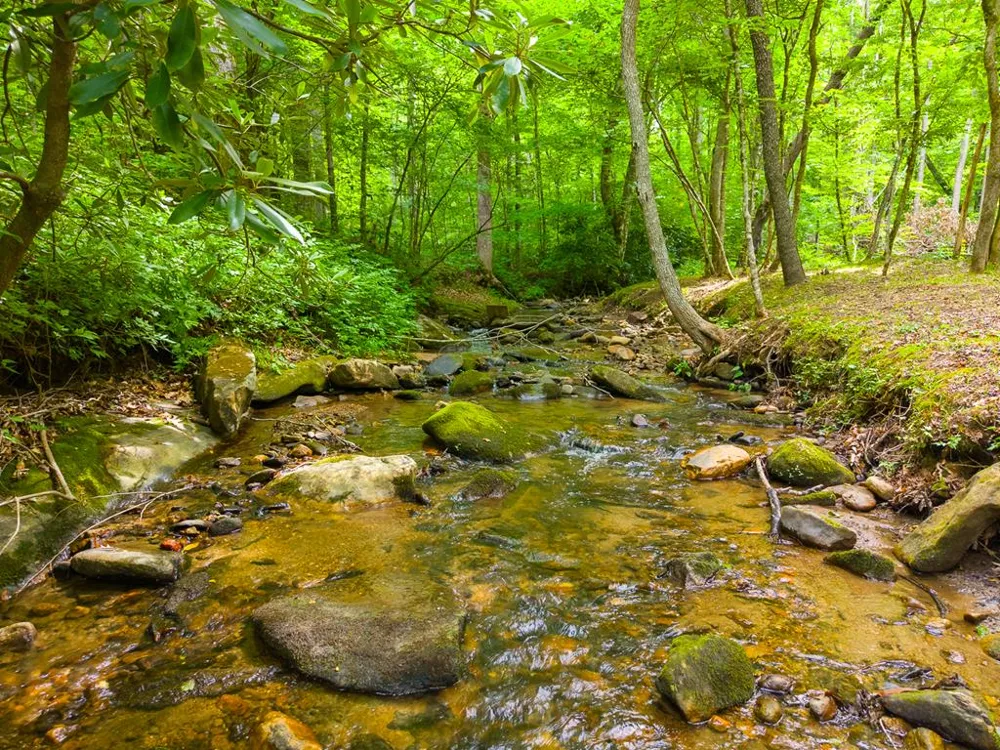 Cedar Creek Farm Rd Tuckasegee, NC 28783