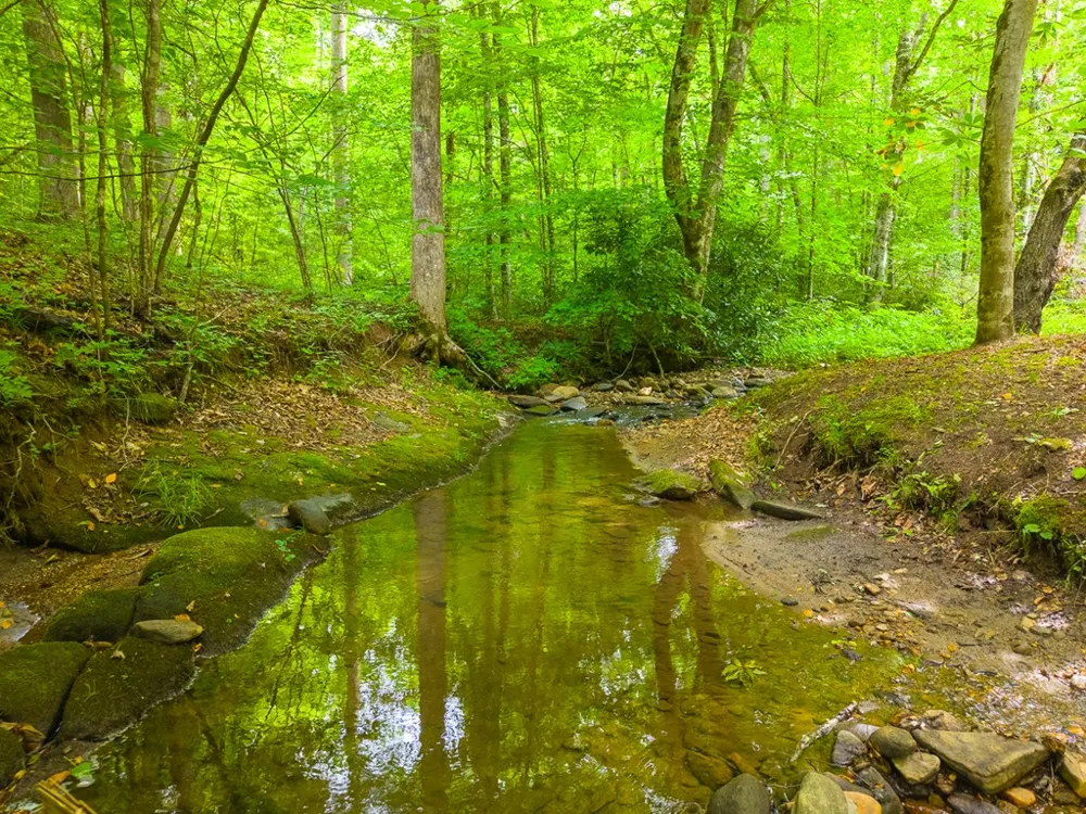 Cedar Creek Farm Rd Tuckasegee, NC 28783