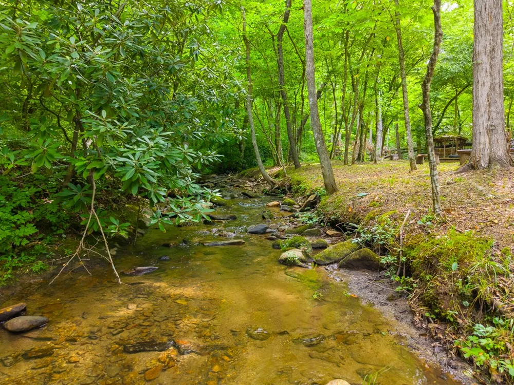 Cedar Creek Farm Rd Tuckasegee, NC 28783