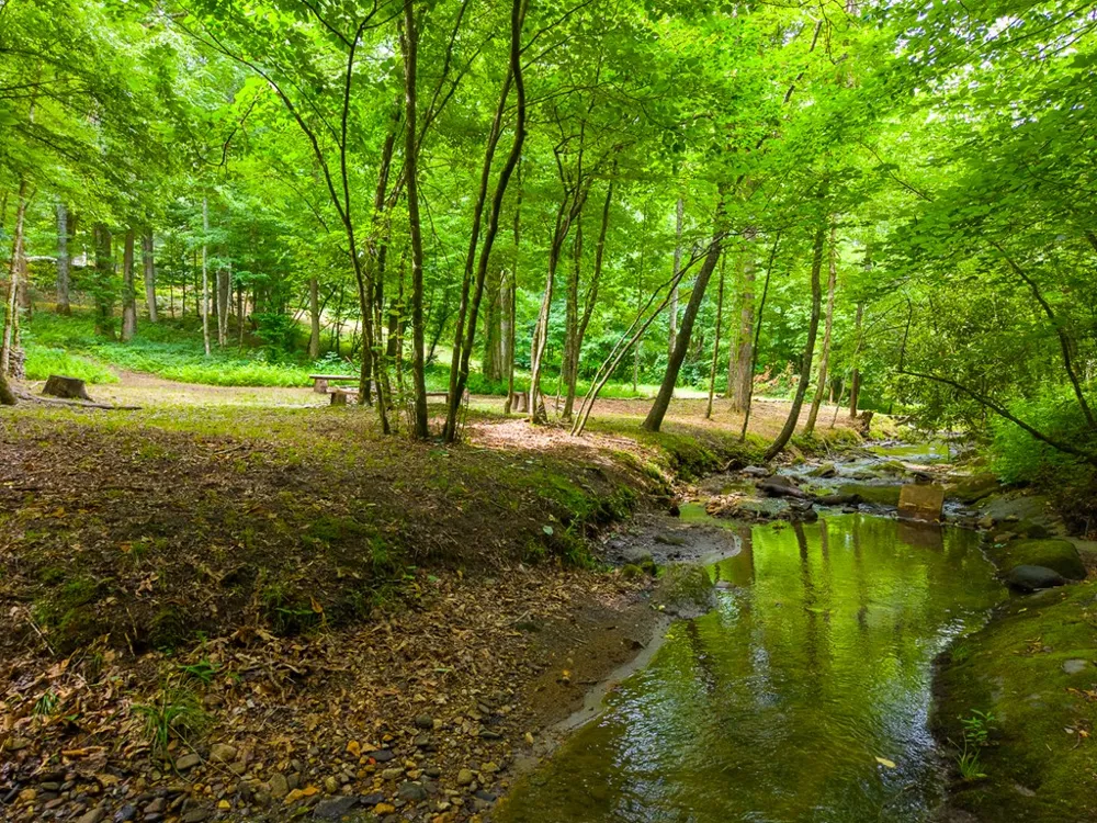 Cedar Creek Farm Rd Tuckasegee, NC 28783