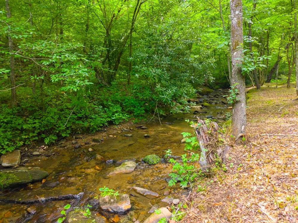 Cedar Creek Farm Rd Tuckasegee, NC 28783